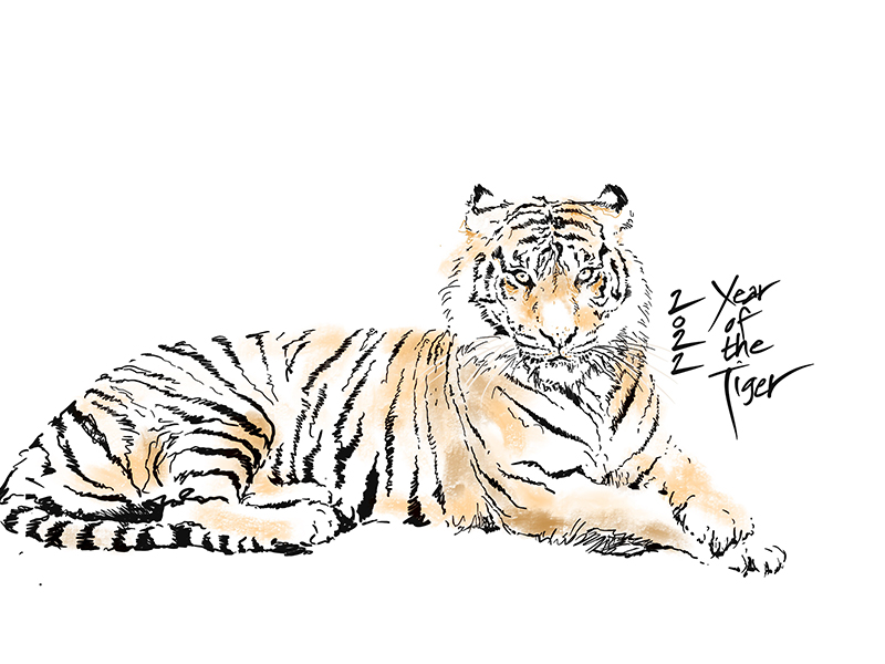 Head of a Half Chinese Dragon Half Bengal Tiger  Stock Illustration  71107094  PIXTA